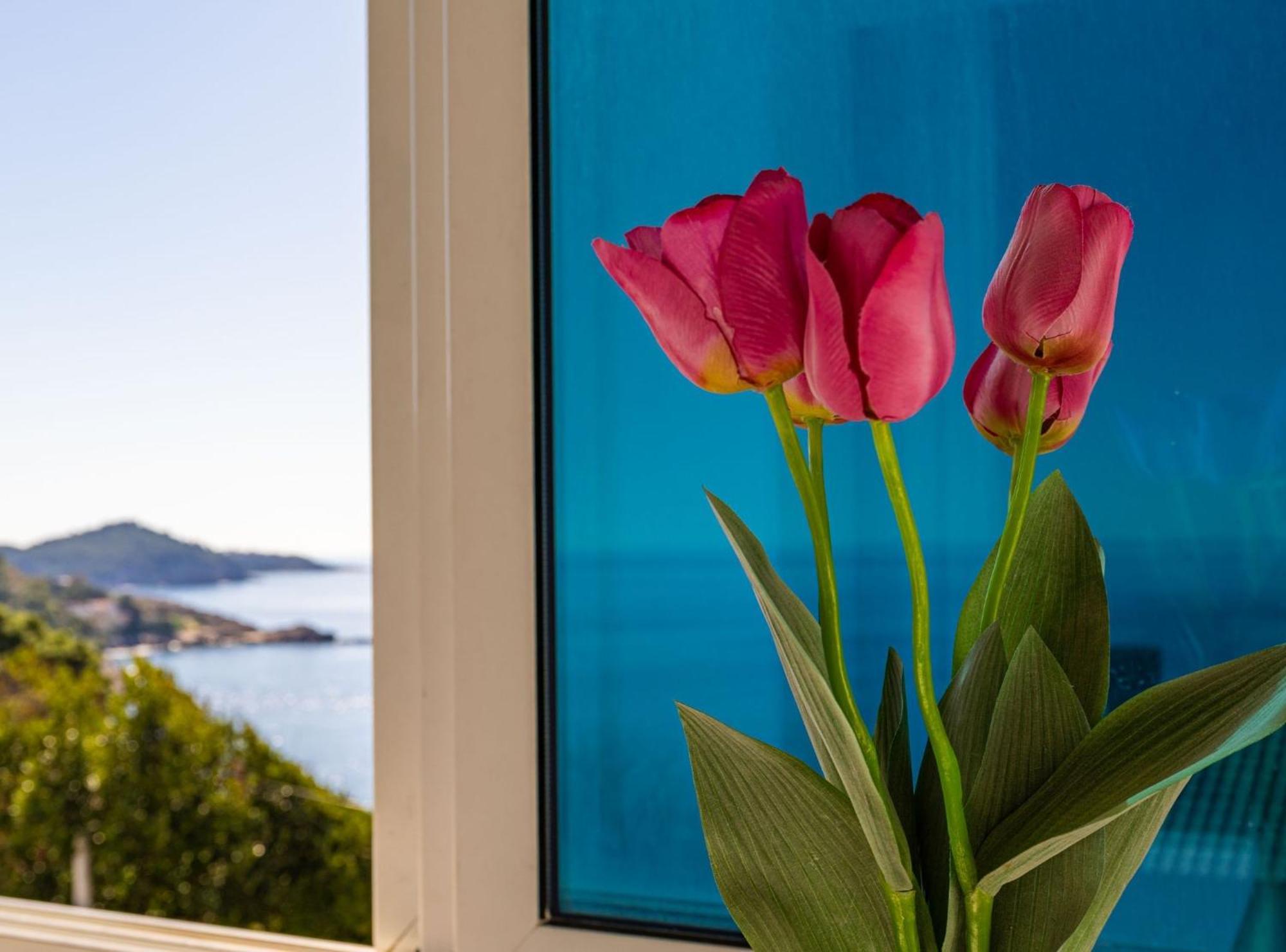 Apartment Butterfly Dubrovnik Eksteriør billede